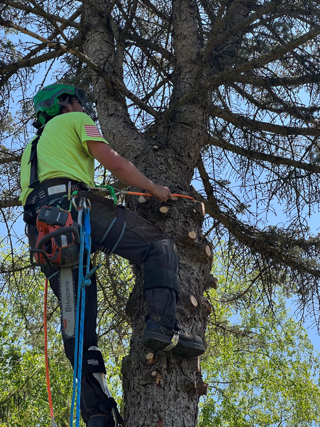 climbing