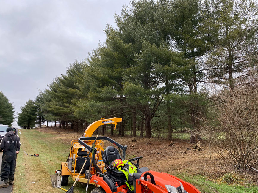 land clearing