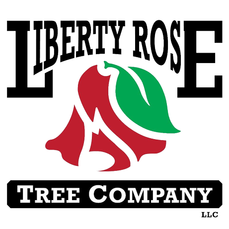 The Liberty Rose Tree Company