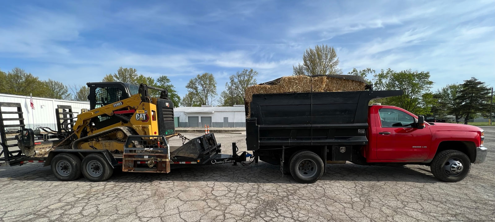 SAFE TREE REMOVAL