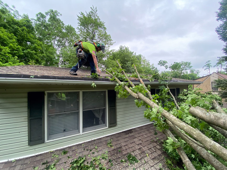 storm damage cleanup